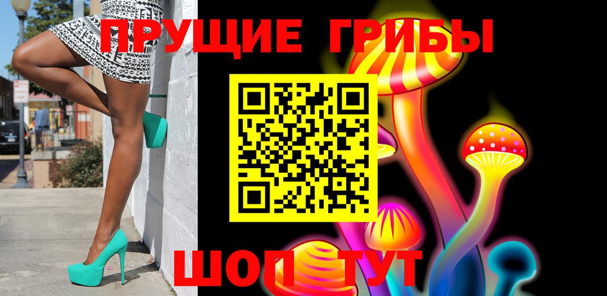 Псилоцибиновые грибы Cubensis Можайск